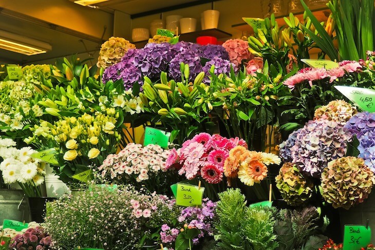 blumen-weltweit