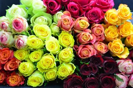 faire blumen trade