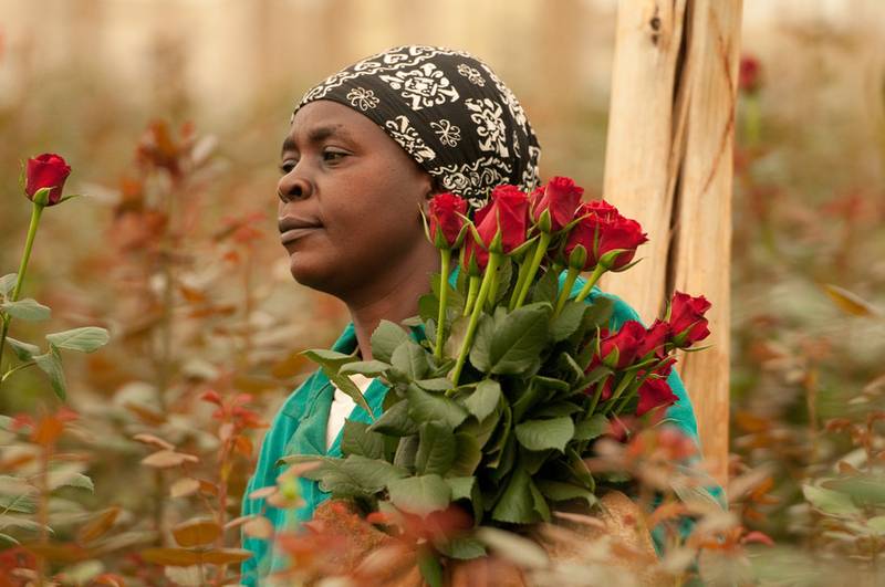 fairtrade blumen