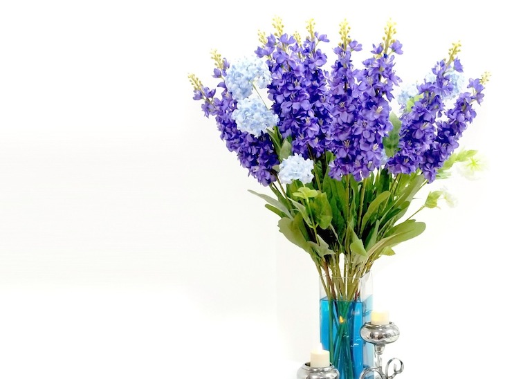 Lavendel