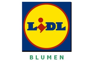 lidl blumen
